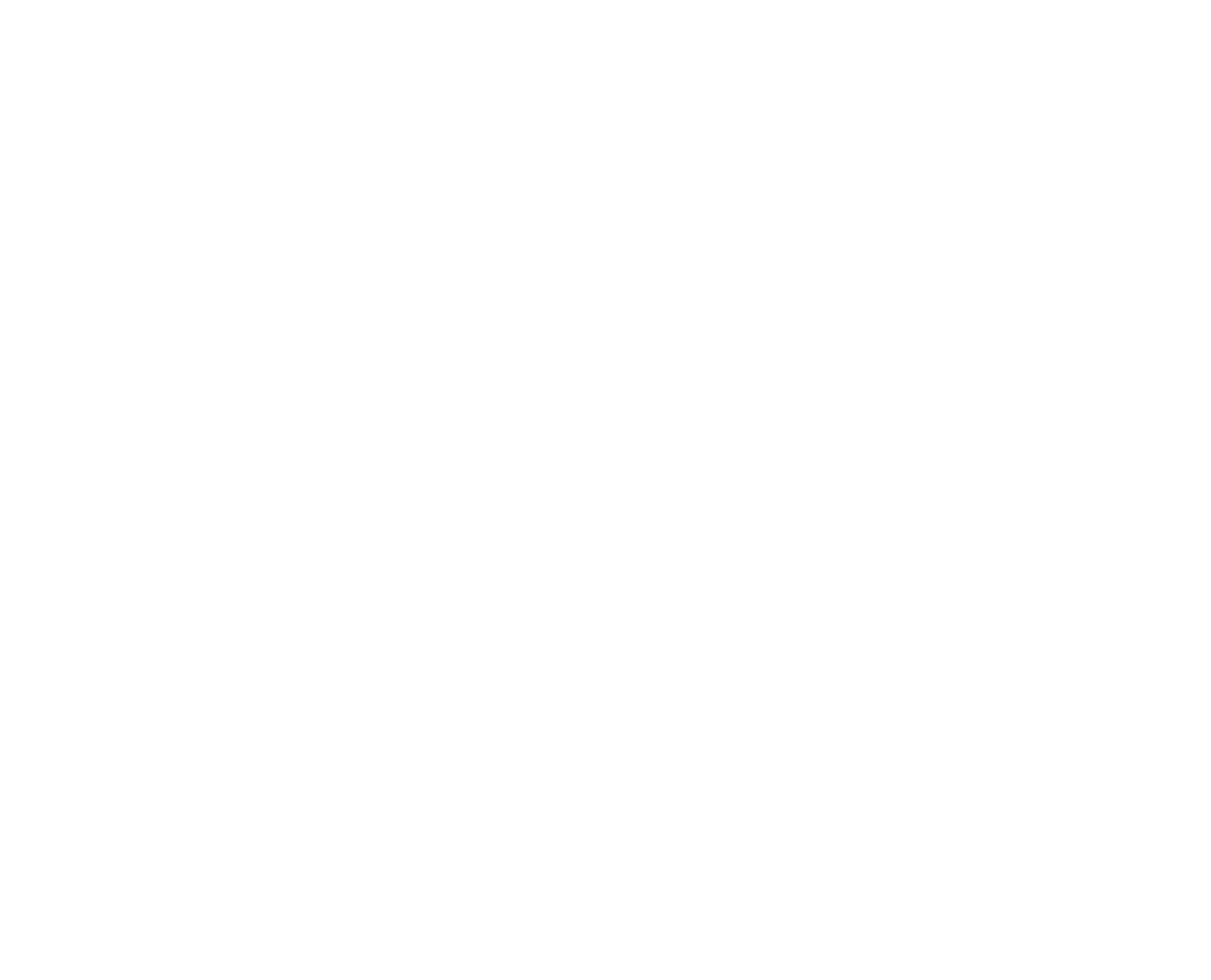 Boost Marine logo