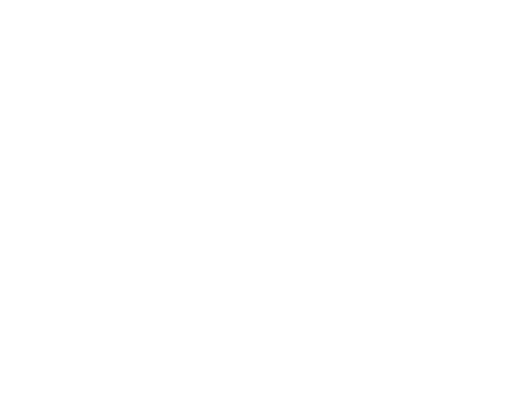 Boost Marine logo